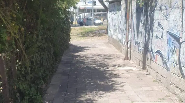 sjr Es importante que exista mayor