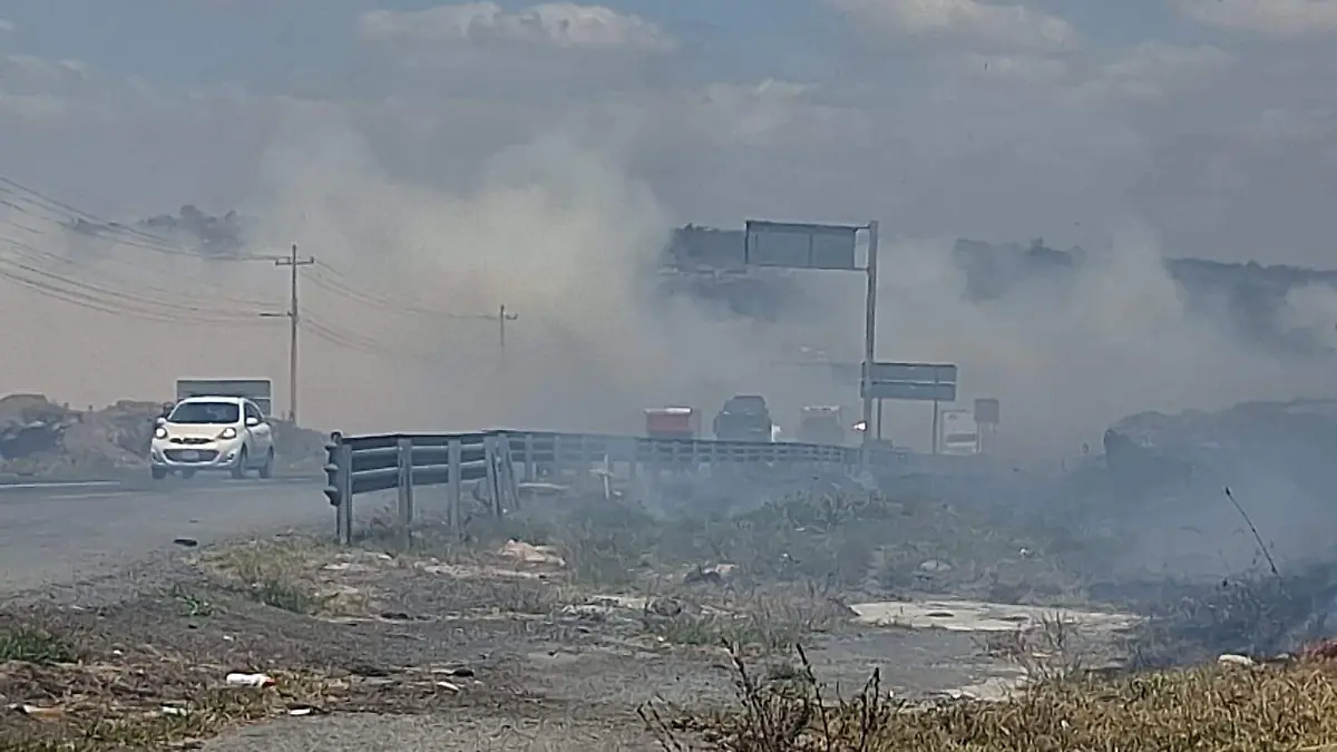 WhatsApp Image 2026-03-28 at 2.28.42 PM