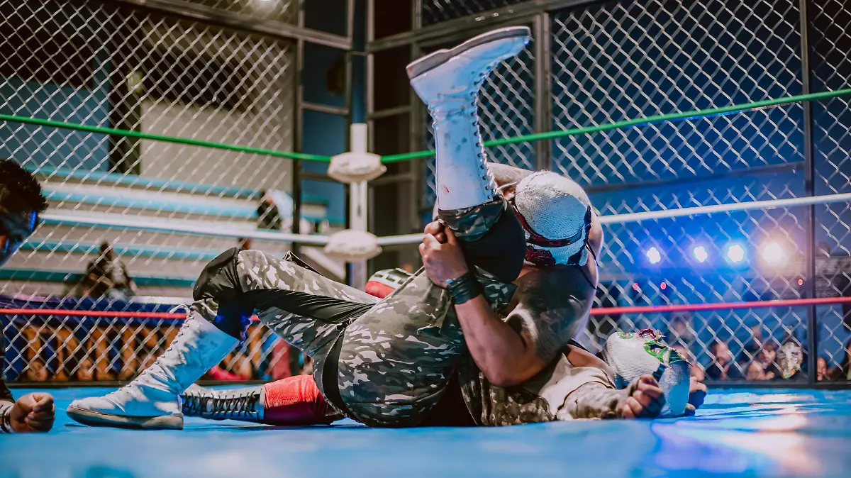 WhatsApp Image 2026-03-28 at 19.55.43