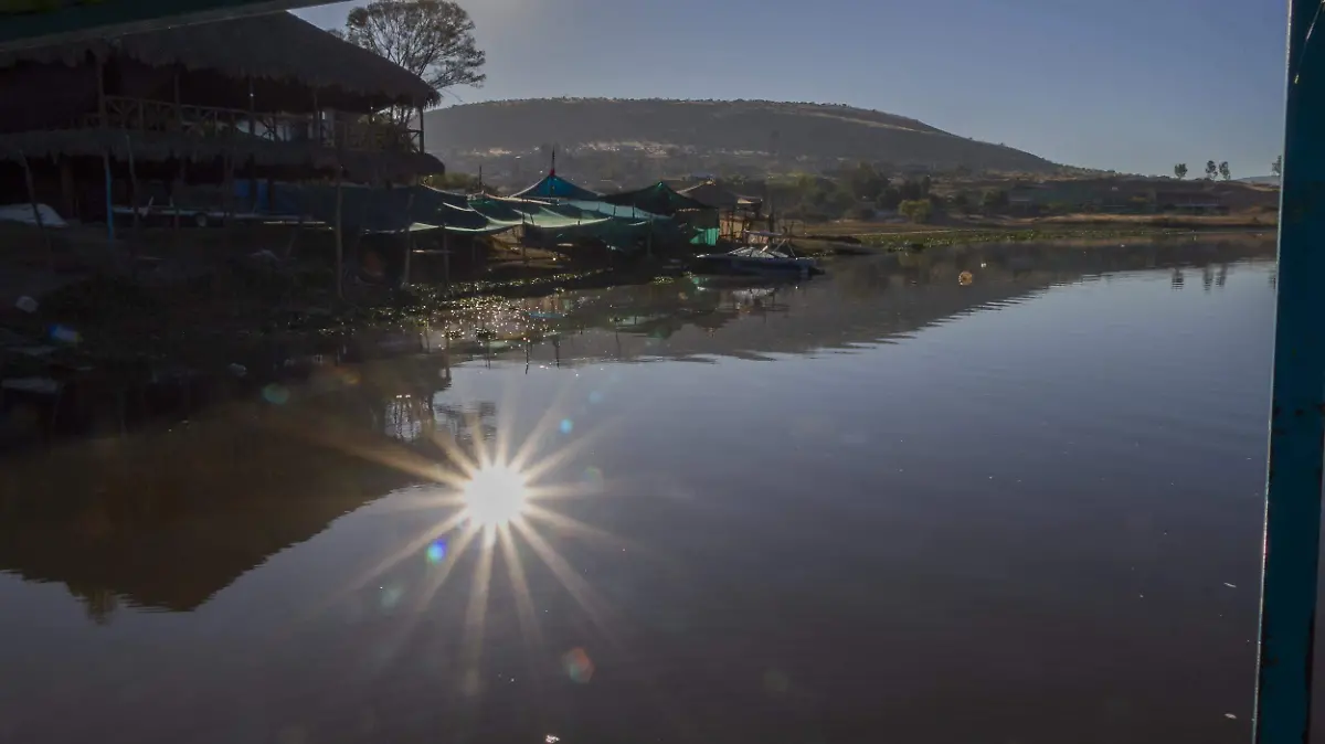 sjr Muchas familias deciden