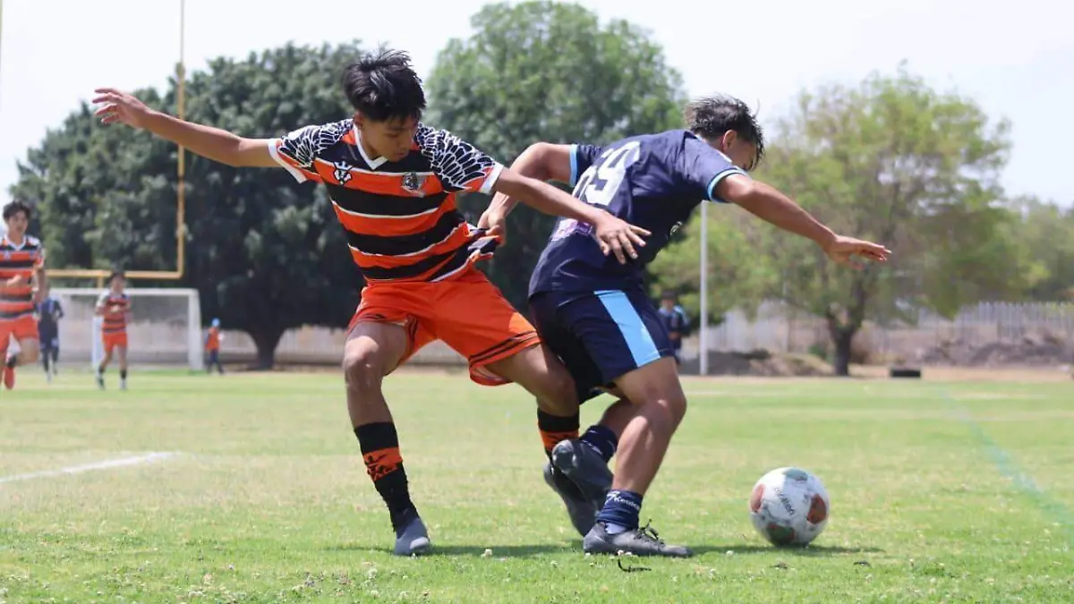 657540883_1505657048237659_6826619501823531623_n