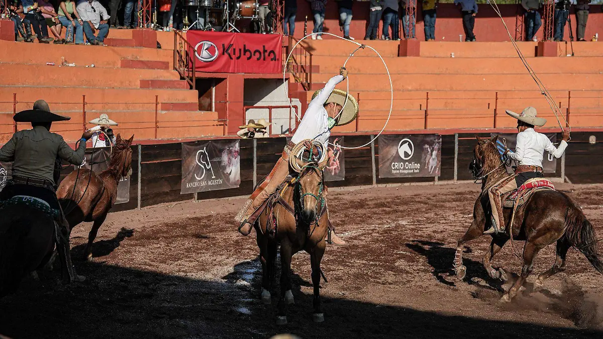 494371956_981797897444222_358431757583665102_n