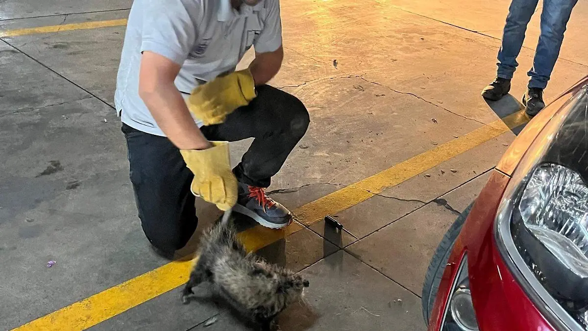 657362693_17960812458062307_1439300115689709249_n