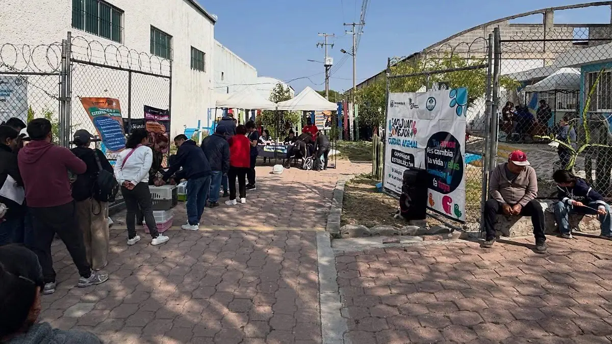 SJR A traves de sus plataformas