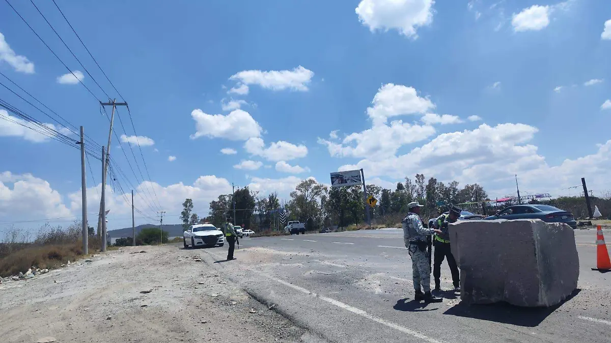 WhatsApp Image 2026-04-01 at 11.42.12 AM (1)