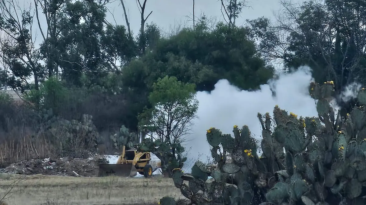 WhatsApp Image 2026-04-01 at 3.07.34 PM (3)