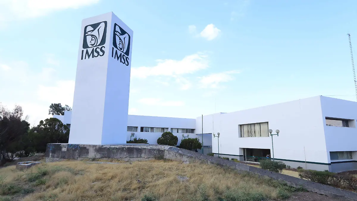 091225_IMSS_paseo_central_ldvu (15)