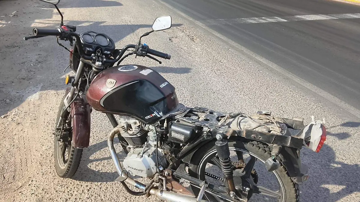 WhatsApp Image 2026-04-04 at 7.51.07 AM (1)