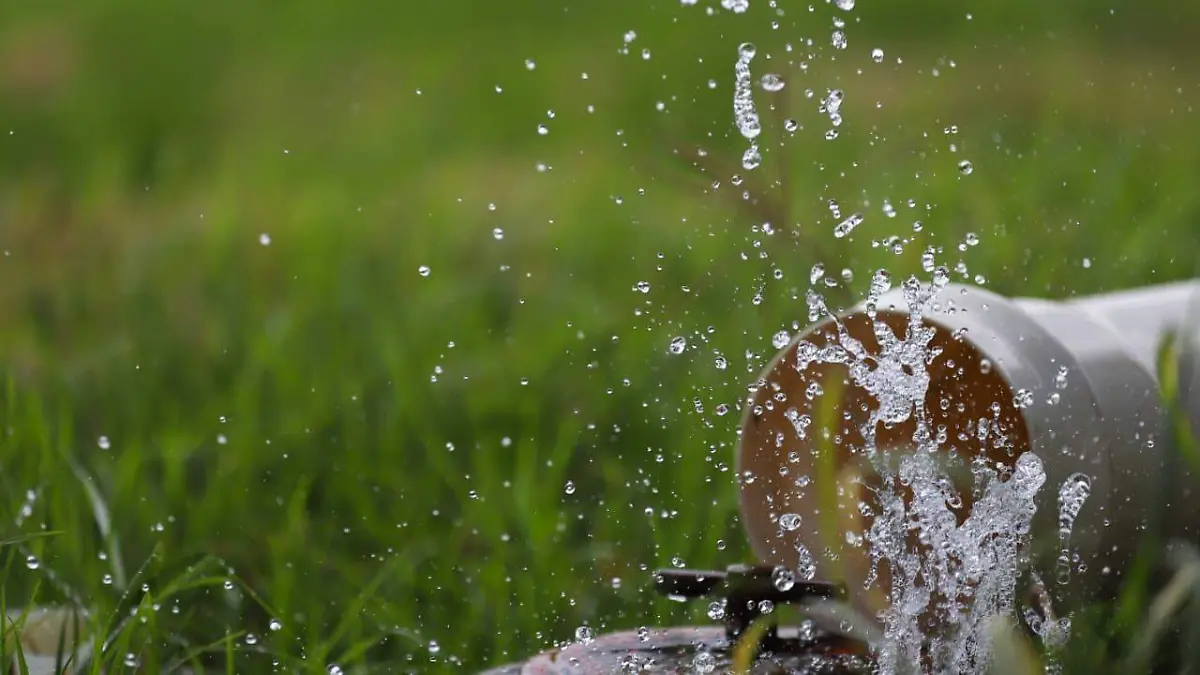 sjr Promueven una labor trascendental