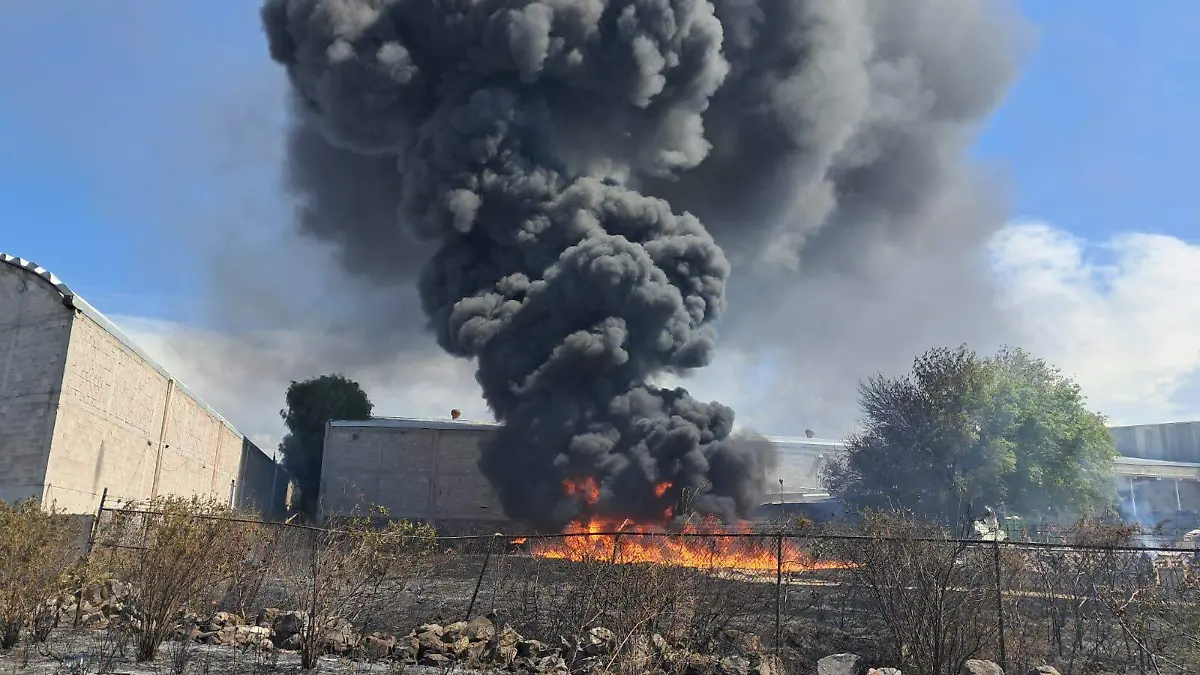 WhatsApp Image 2026-04-04 at 3.12.24 PM