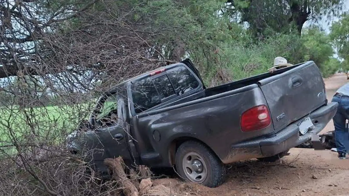 WhatsApp Image 2026-04-05 at 7.43.12 PM