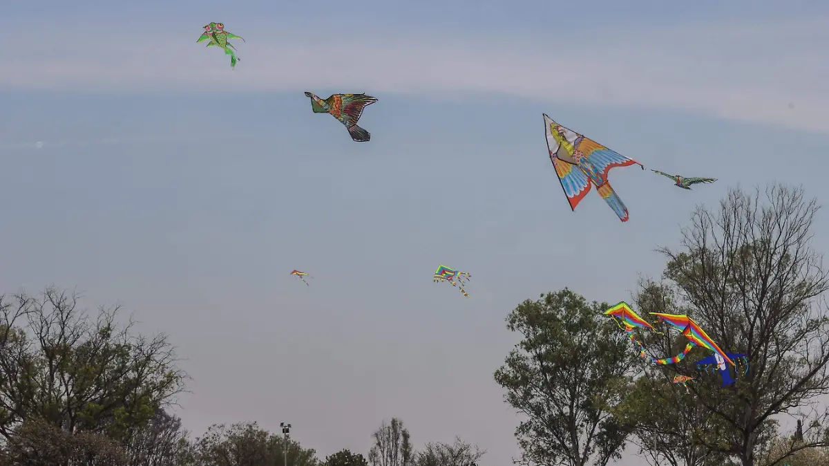 sjr es una estrategia