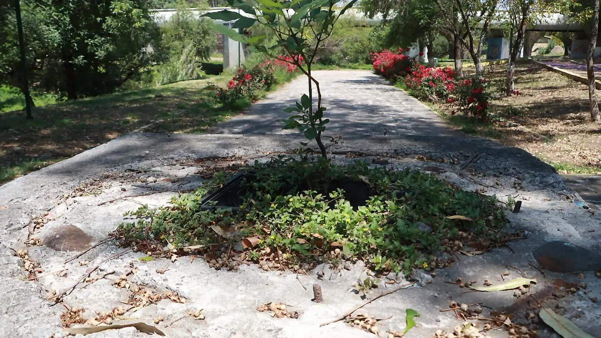 sjr En su lugar se colocaron