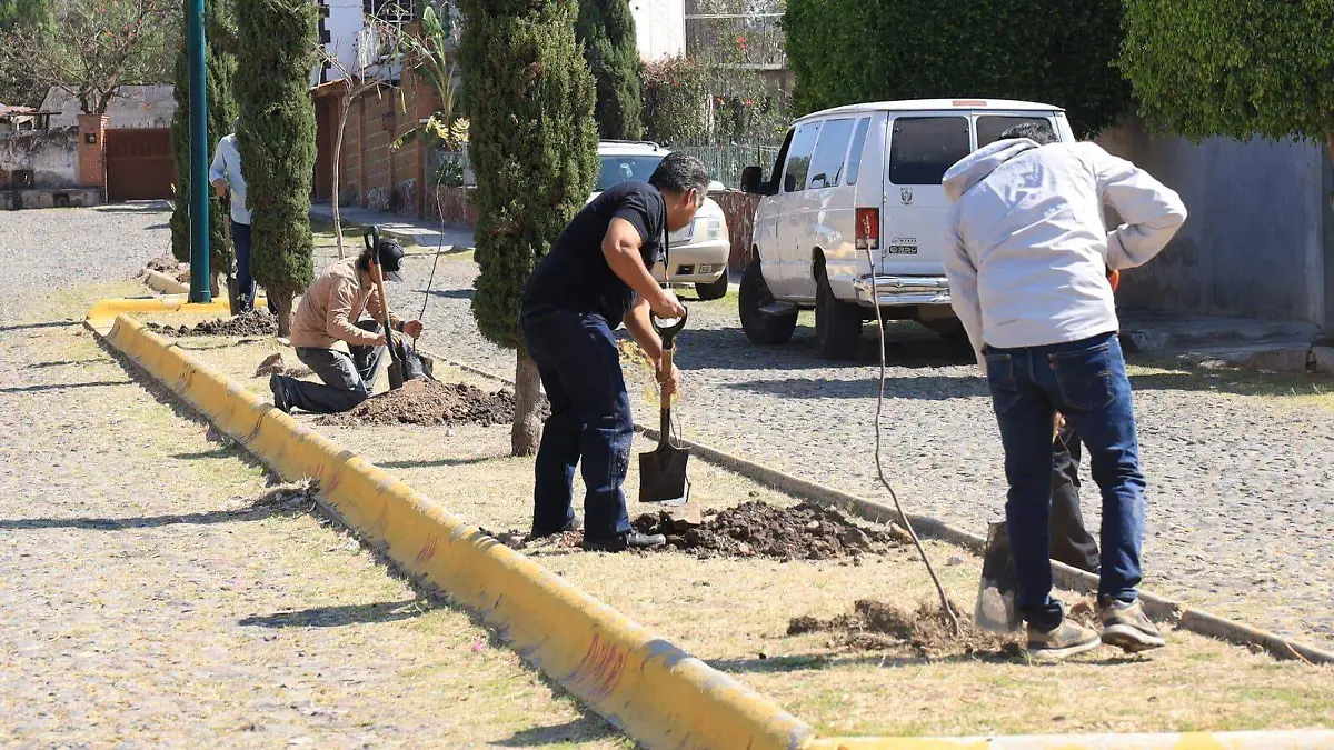 sjr Son diferentes localidades