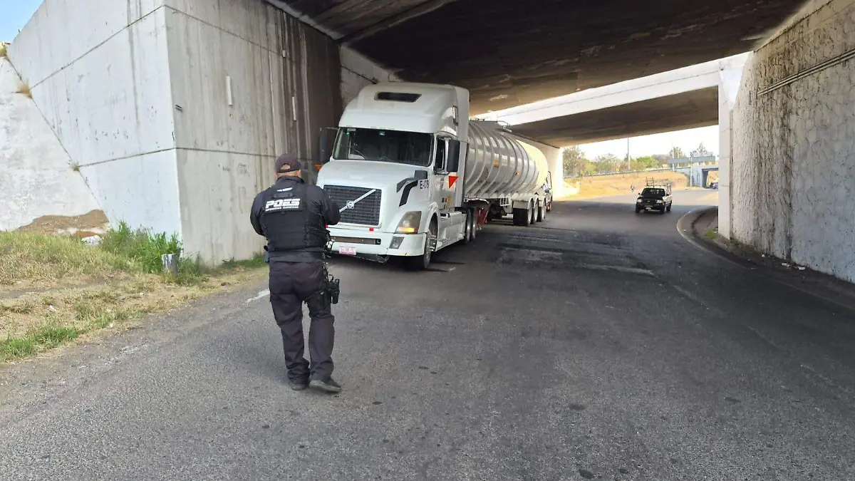 WhatsApp Image 2026-04-11 at 8.16.31 AM