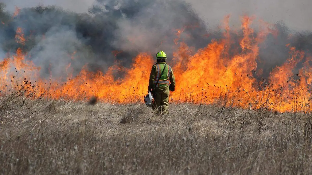 658133175_1373120148193098_3555854462893517999_n