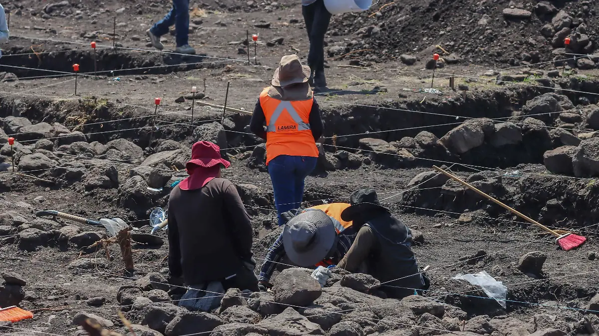 sjr También se tienen documentados