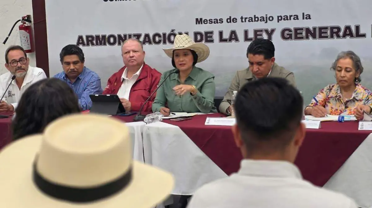 WhatsApp Image 2026-04-13 at 12.47.55 PM