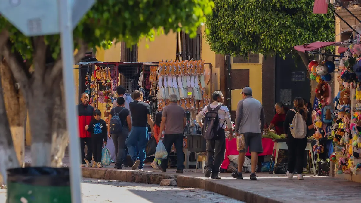 SJR_Instan a reportar