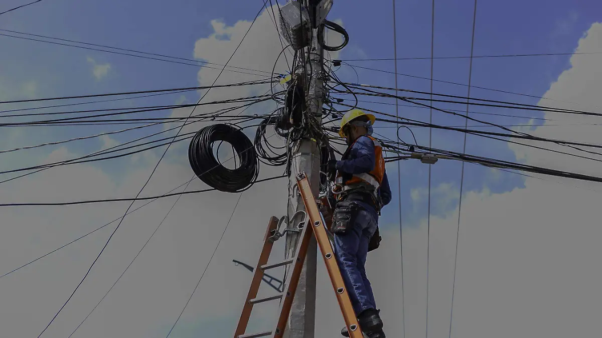 SJR Los trabajos se van