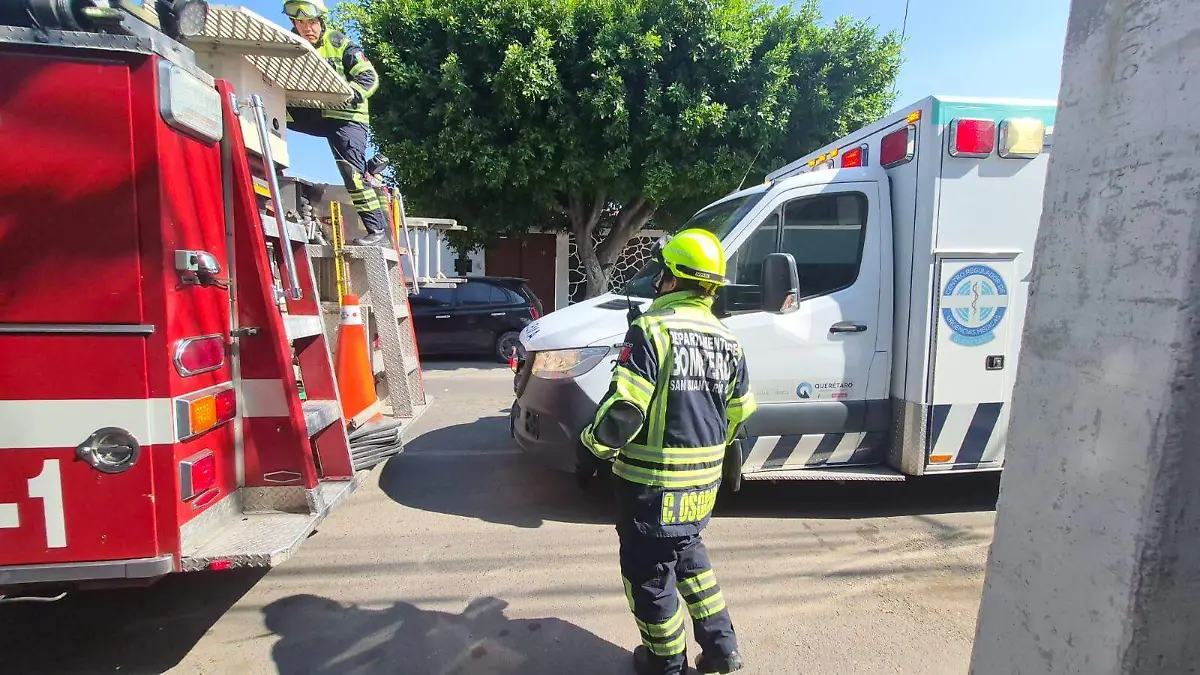 WhatsApp Image 2026-04-19 at 10.06.01 AM