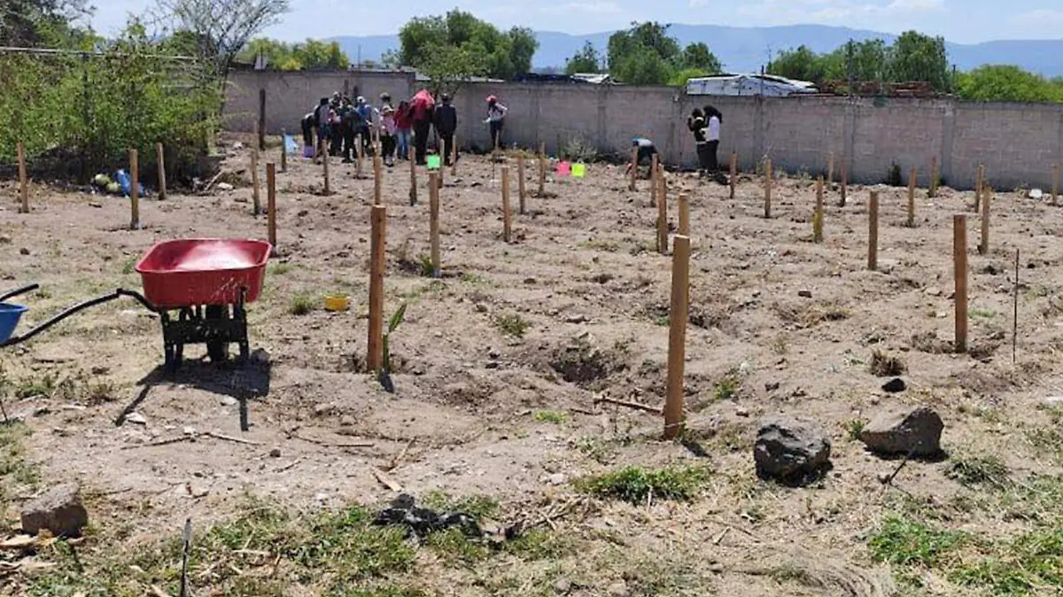 SJR_Buscan soluciones