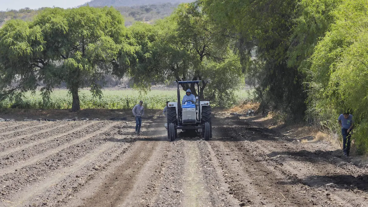 140324_tractores_arando el campo_CO_8