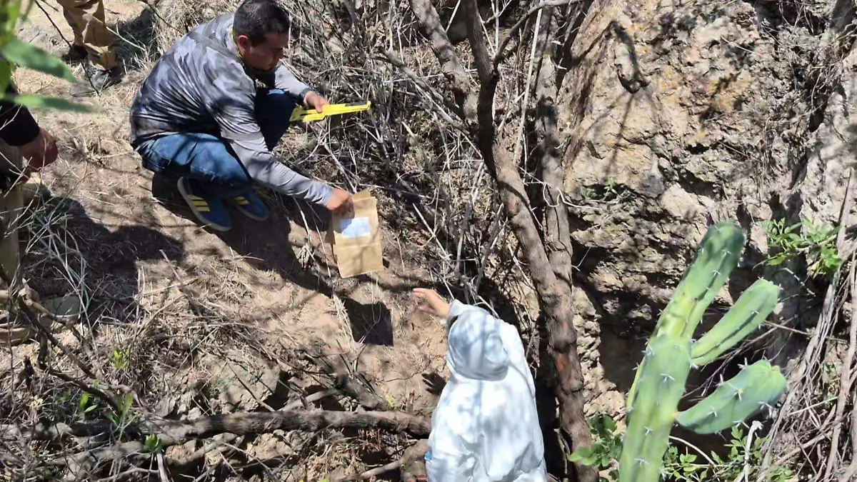 WhatsApp Image 2026-04-27 at 3.12.00 PM