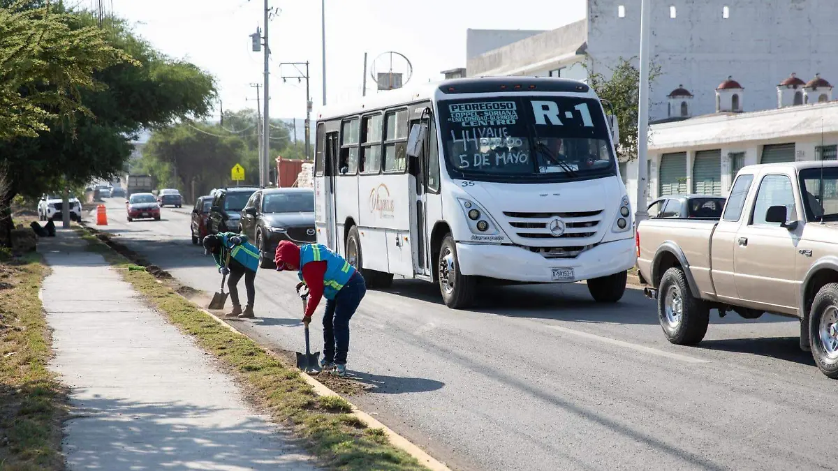 SJR Quitar los desechos