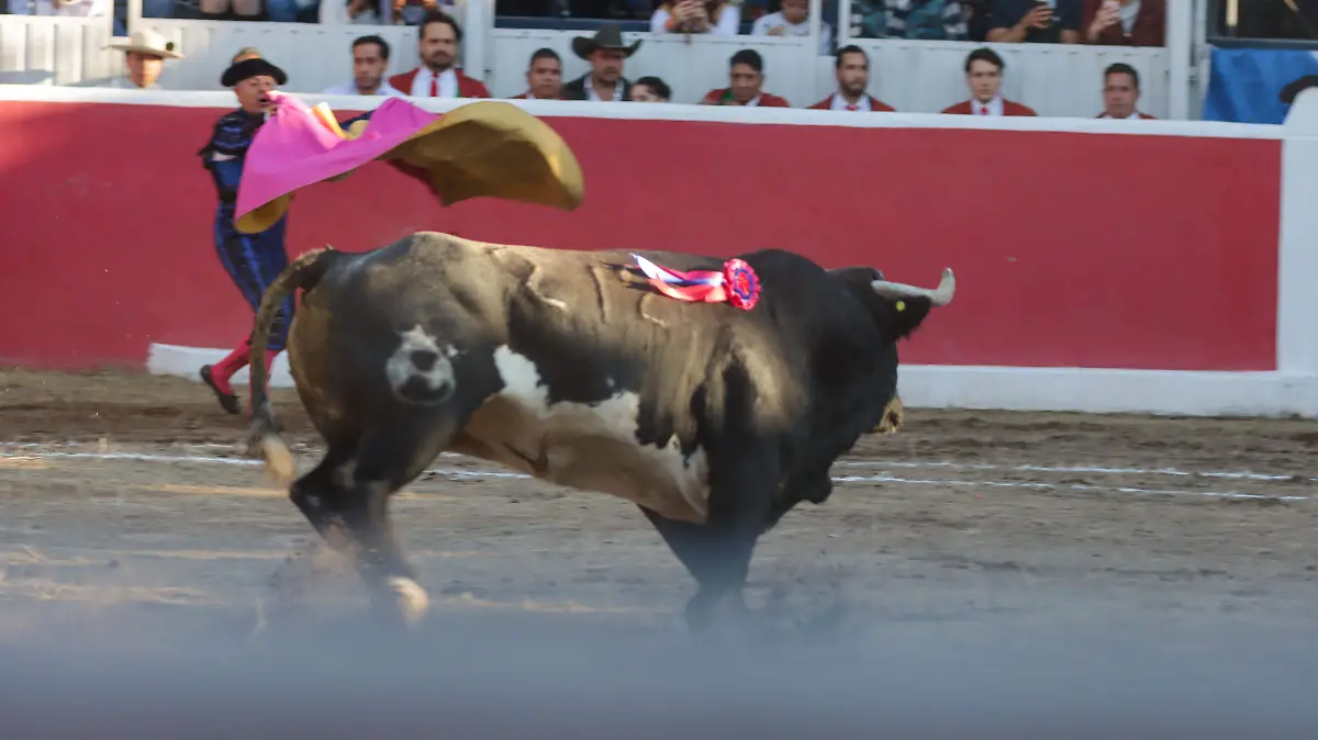 251225_corrida_toros_centro expositor_sjr_CO_36