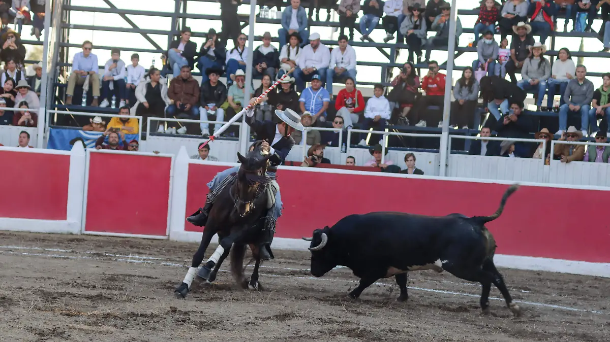 sjr Aficionados buscan