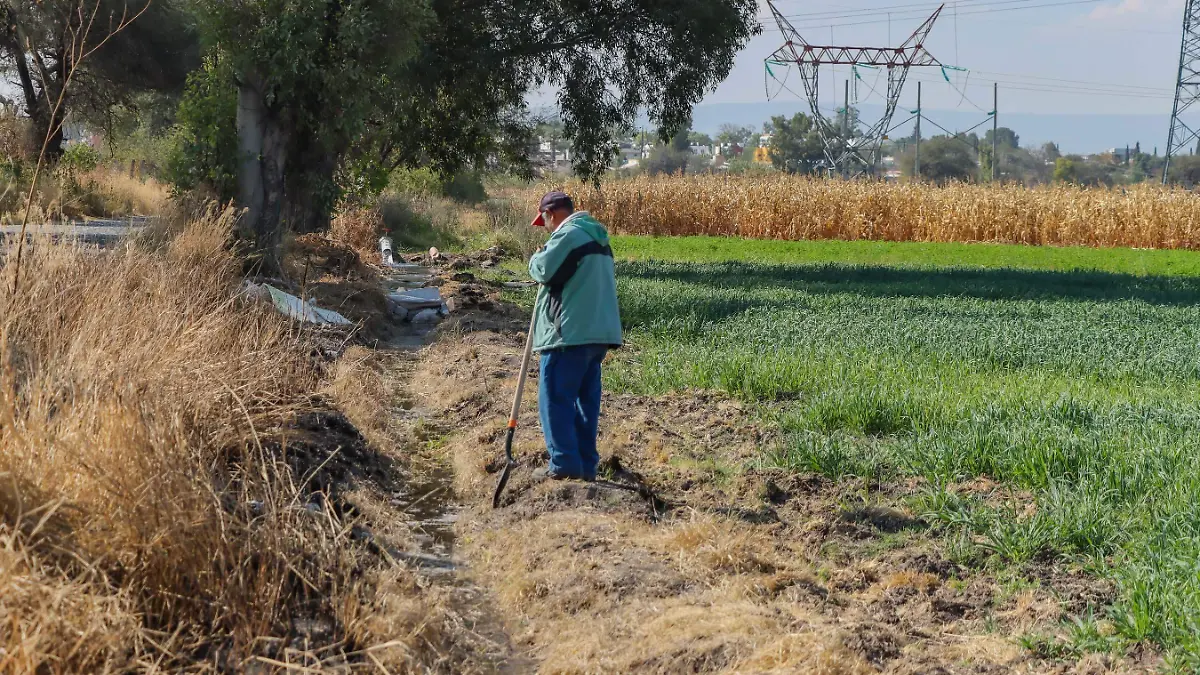 040125_riego de campo_avena_CO_5