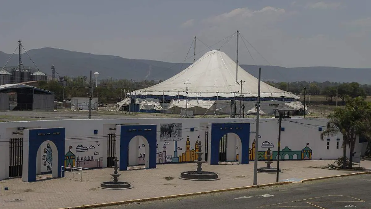 sjr Se debe atender a una amplia