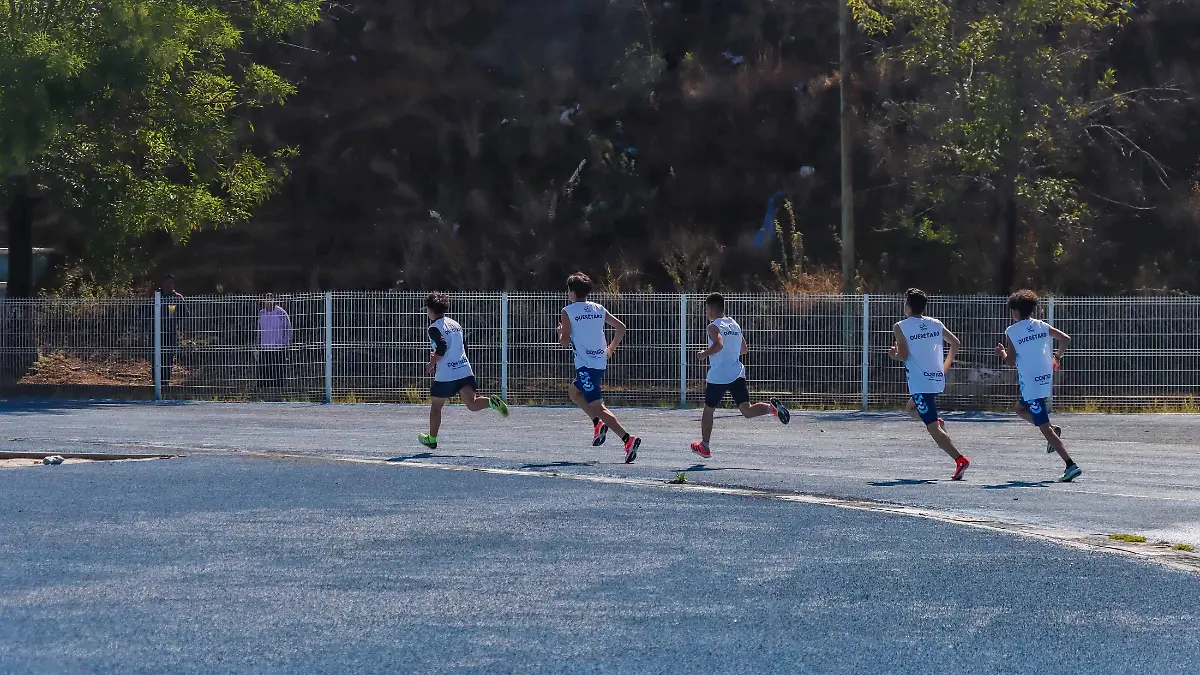 SJR CONFORMADO