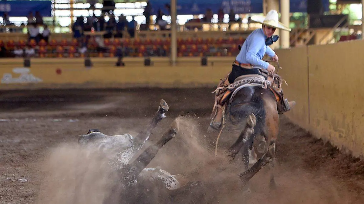 SJR EN GRAN