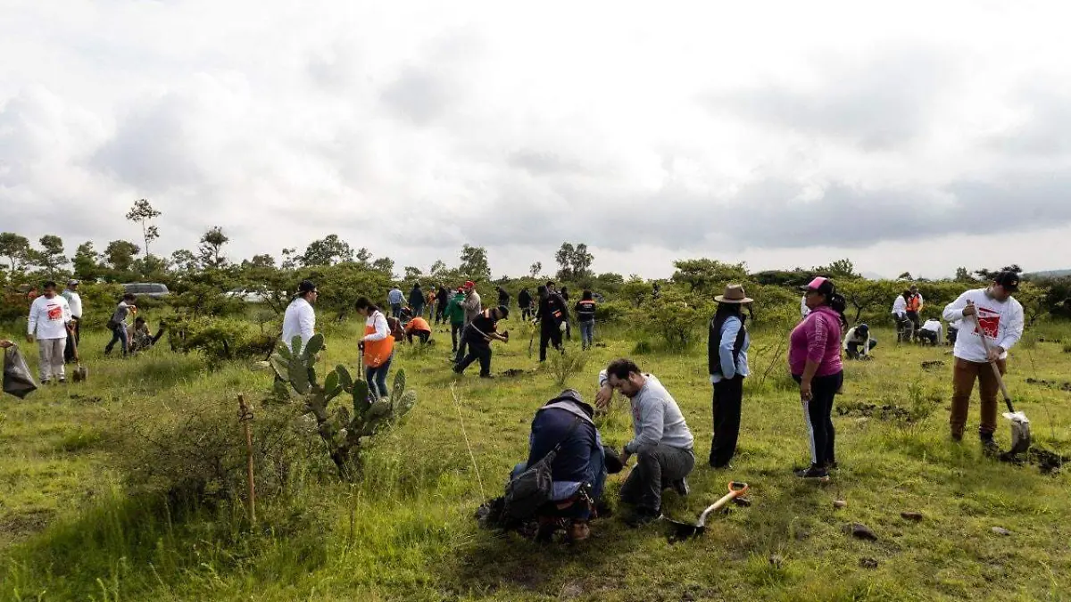 SJR_Buscan que el agua