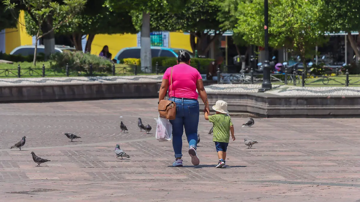 SJR Se impulsa un estado