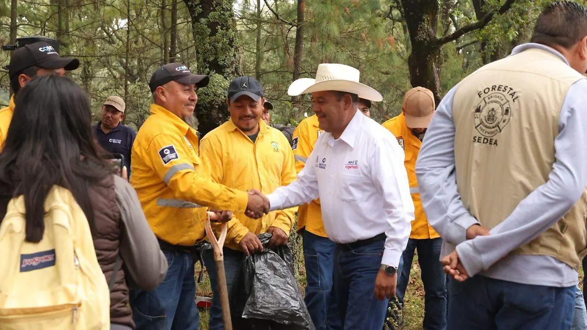 sjr Aprovecharán las lluvias