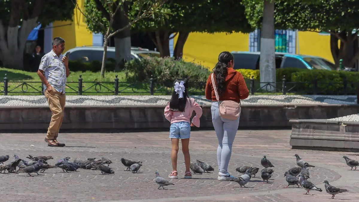 sjr Familias se priorizan