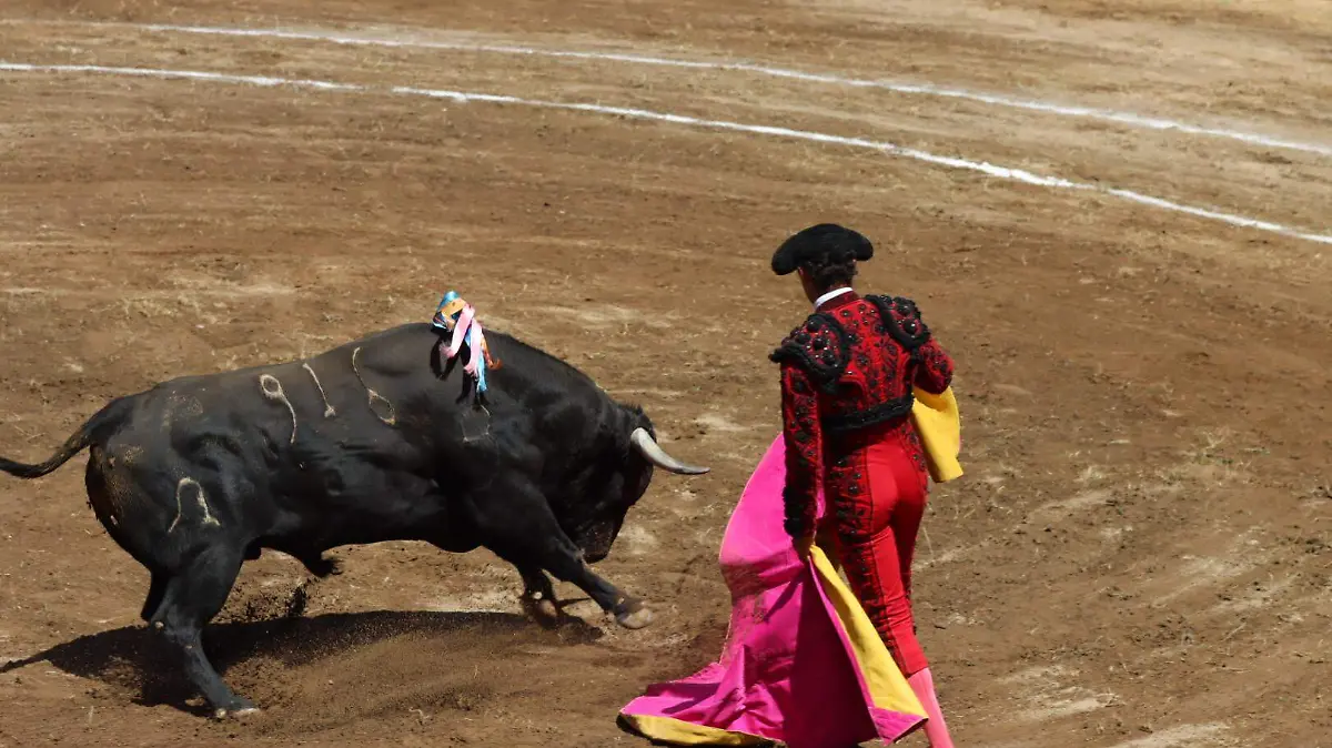 sjr No es la primera ocasión