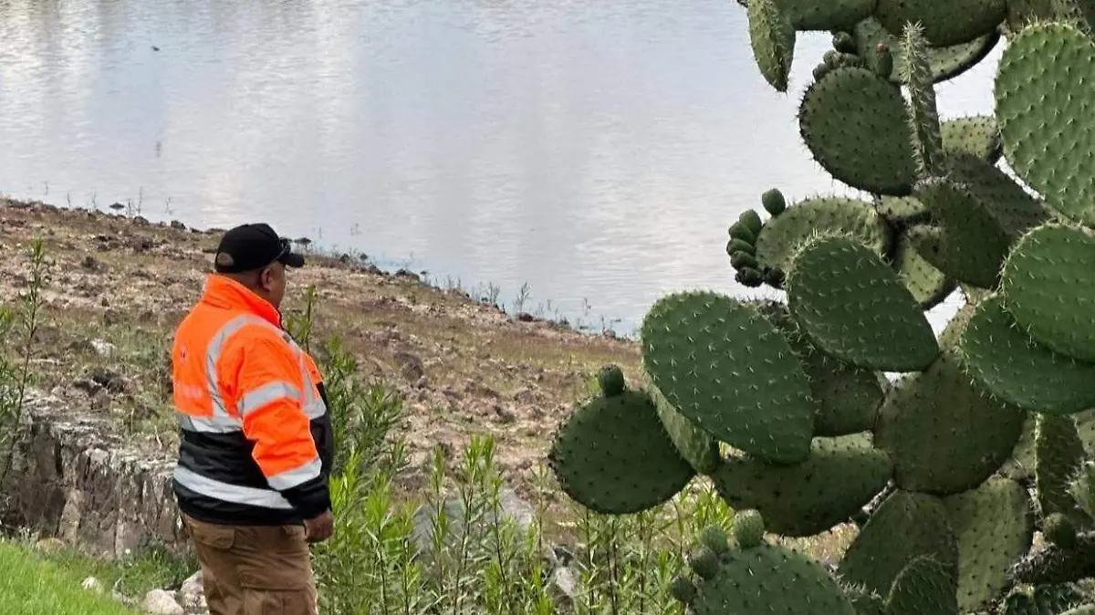 sjr Son diversos puntos