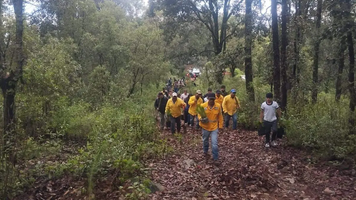 sjr En ocasiones las escuelas