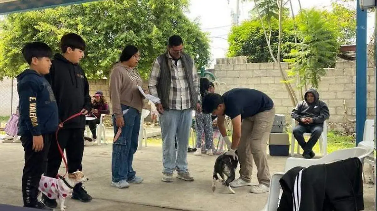sjr Luego de la intervención