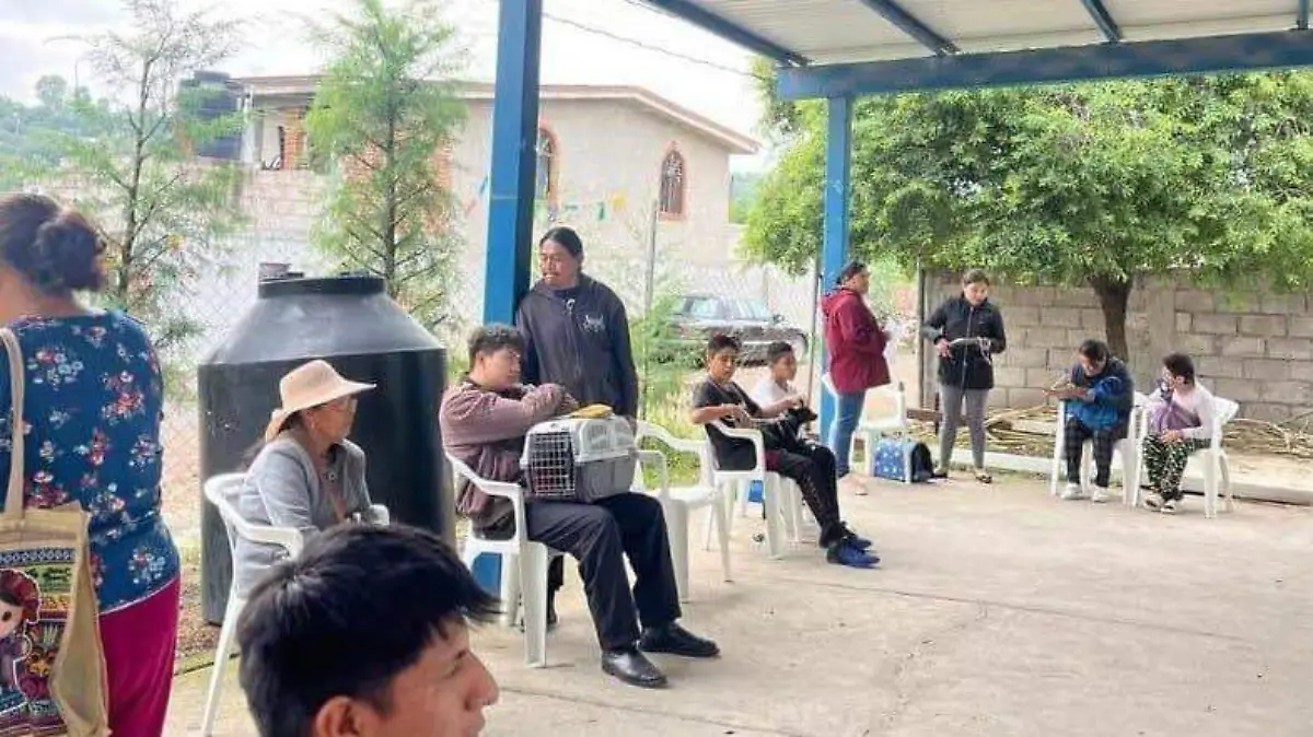 SJR En varios 