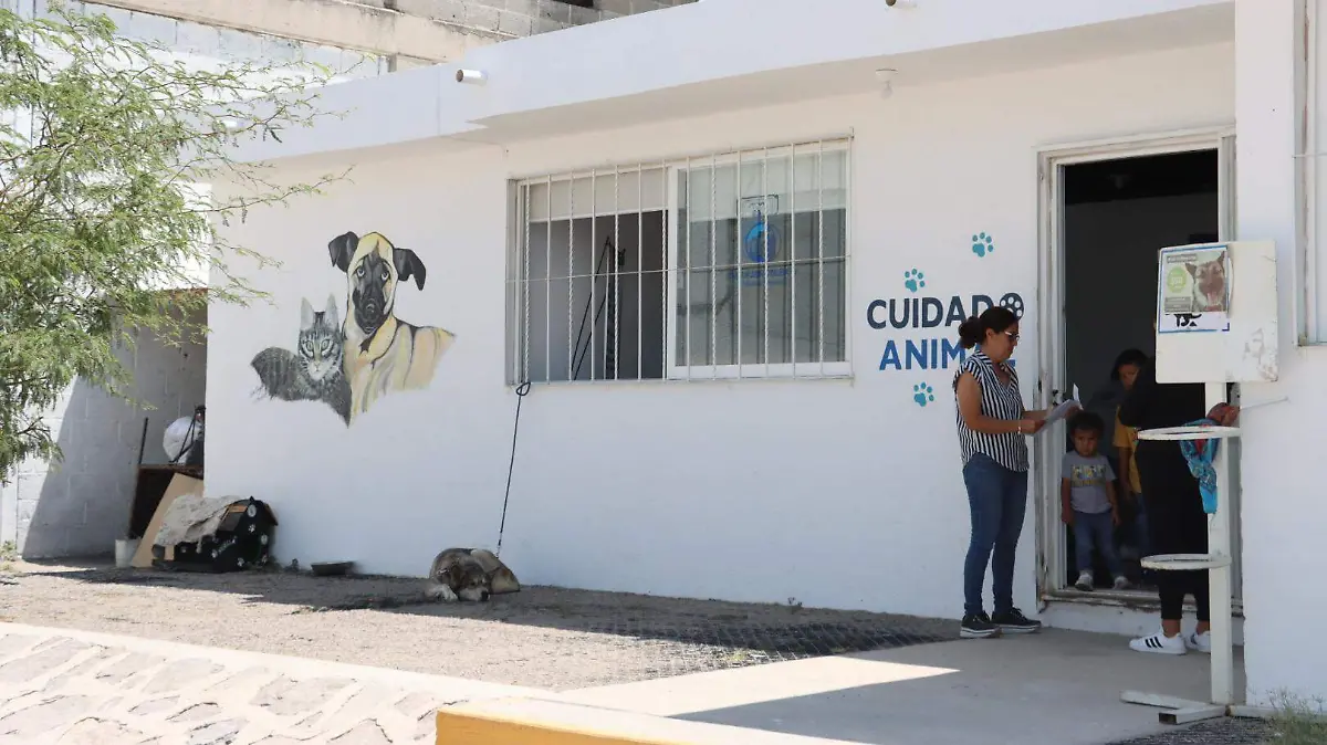 sjr En redes