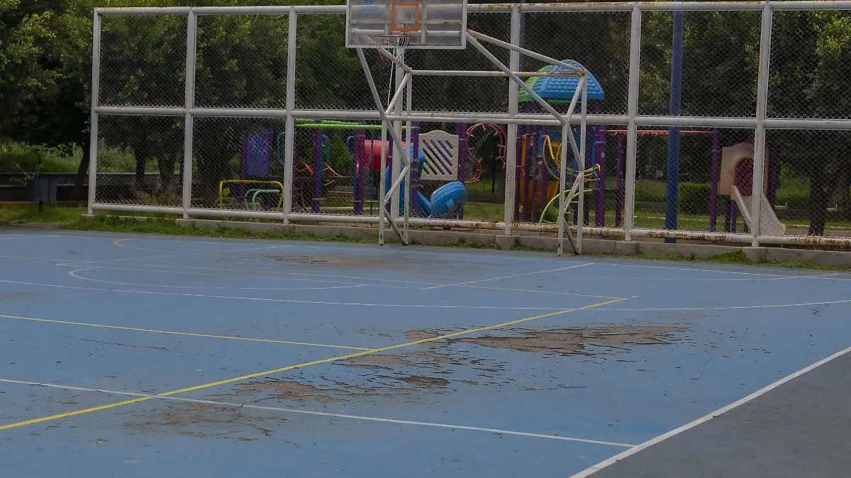 sjr Equipos que entrenan