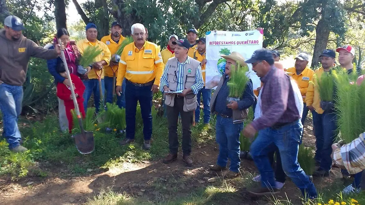 sjr brigadistas