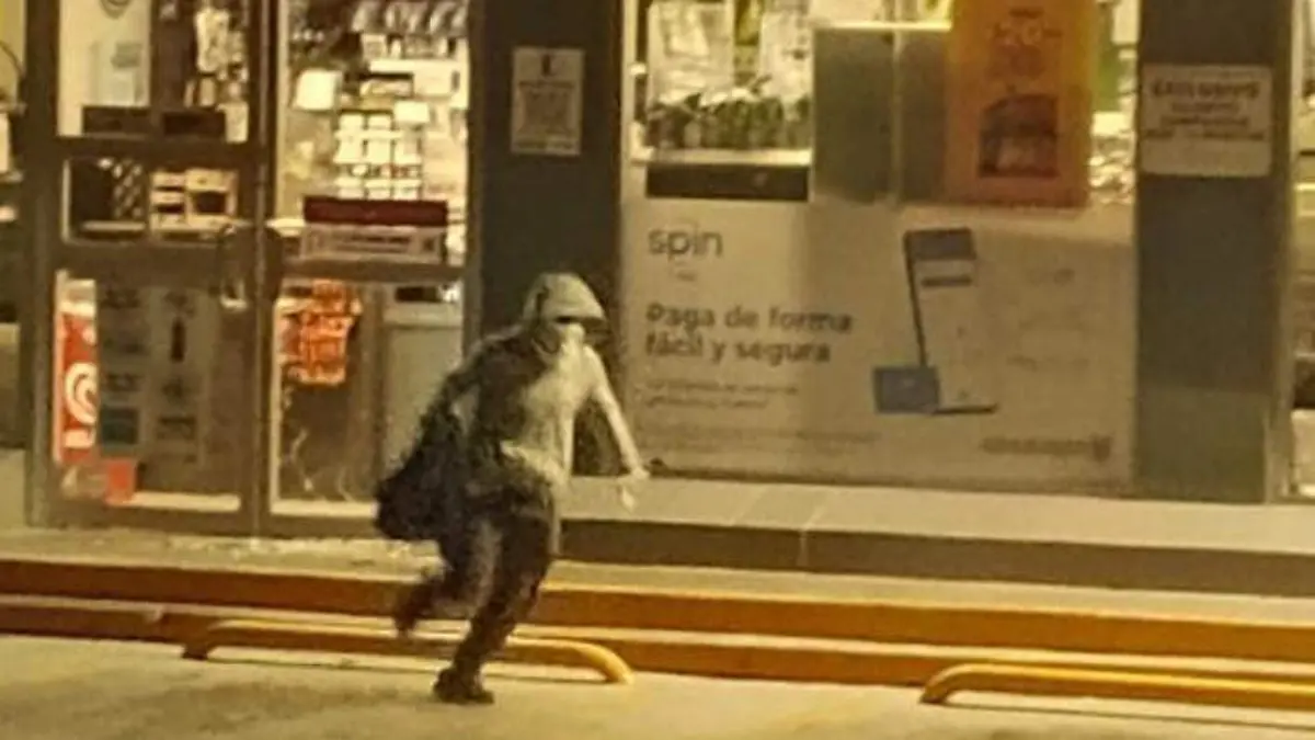 617695
