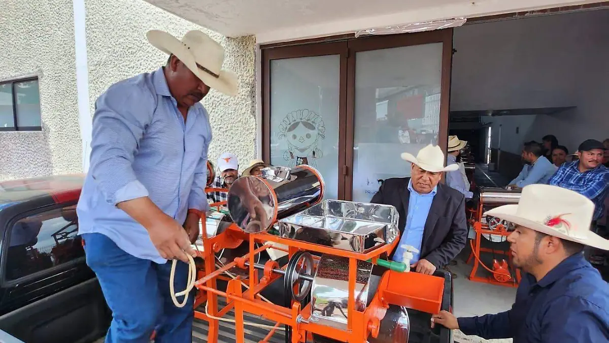 sjr Llevaron a cabo la
