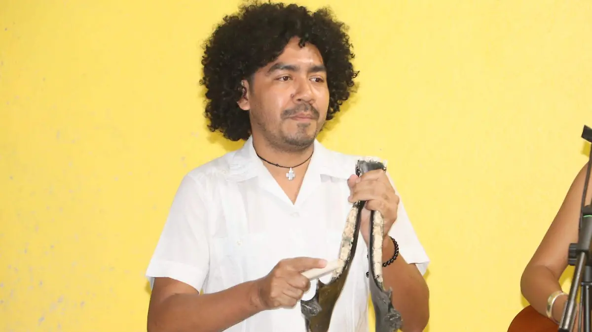 SJR Musica